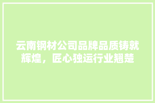 云南钢材公司品牌品质铸就辉煌，匠心独运行业翘楚 建筑设计