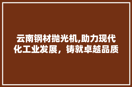 云南钢材抛光机,助力现代化工业发展，铸就卓越品质