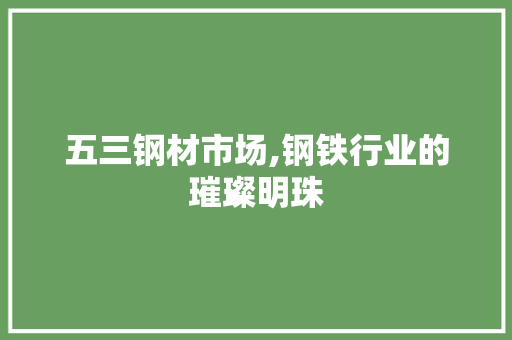 五三钢材市场,钢铁行业的璀璨明珠