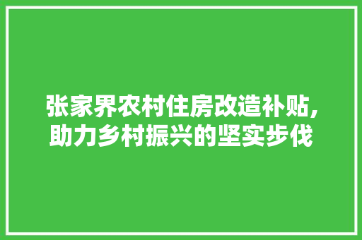 张家界农村住房改造补贴,助力乡村振兴的坚实步伐