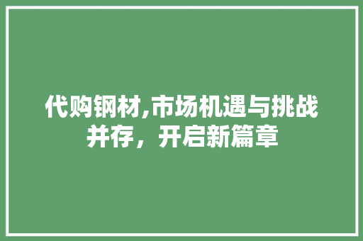 代购钢材,市场机遇与挑战并存，开启新篇章