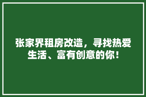 张家界租房改造，寻找热爱生活、富有创意的你！