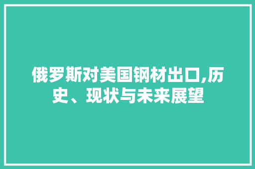 俄罗斯对美国钢材出口,历史、现状与未来展望