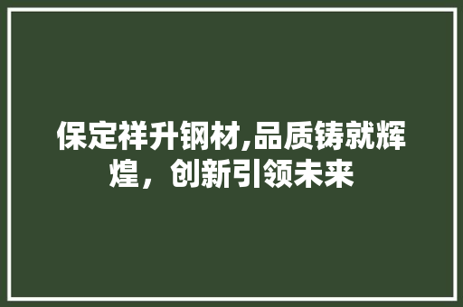 保定祥升钢材,品质铸就辉煌，创新引领未来 建筑设计