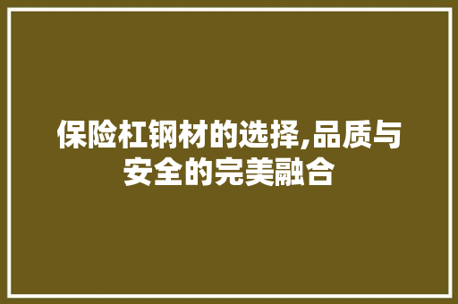 保险杠钢材的选择,品质与安全的完美融合