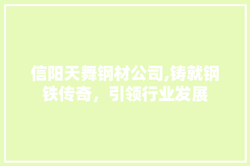 信阳天舞钢材公司,铸就钢铁传奇，引领行业发展 装修攻略