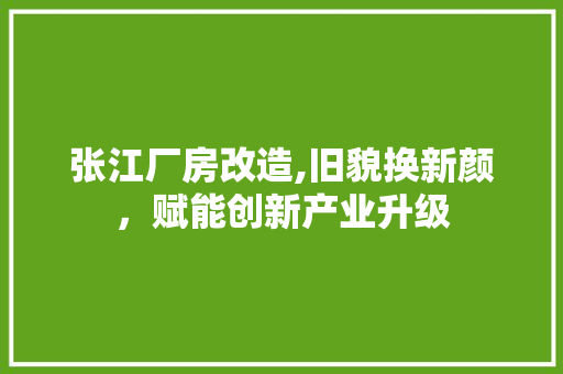 张江厂房改造,旧貌换新颜，赋能创新产业升级
