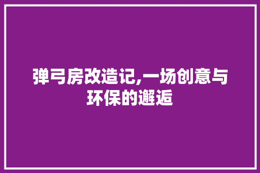 弹弓房改造记,一场创意与环保的邂逅