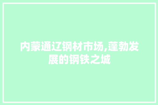 内蒙通辽钢材市场,蓬勃发展的钢铁之城