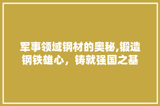 军事领域钢材的奥秘,锻造钢铁雄心，铸就强国之基