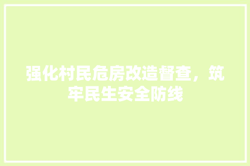强化村民危房改造督查，筑牢民生安全防线