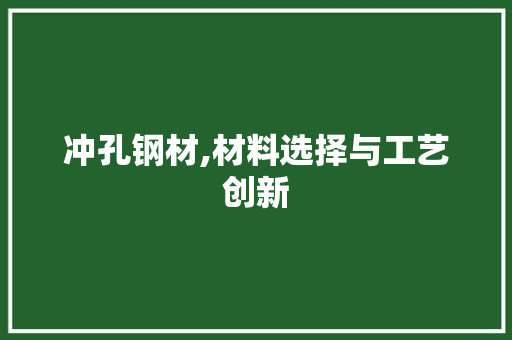冲孔钢材,材料选择与工艺创新 门窗装修