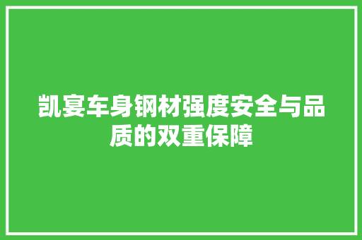 凯宴车身钢材强度安全与品质的双重保障
