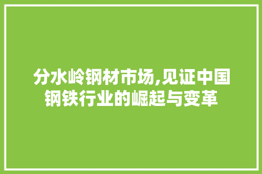 分水岭钢材市场,见证中国钢铁行业的崛起与变革