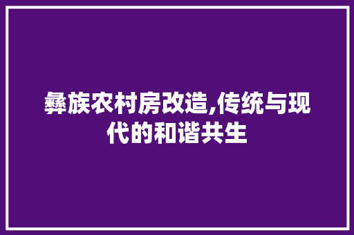 彝族农村房改造,传统与现代的和谐共生