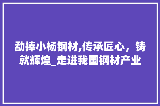 勐捧小杨钢材,传承匠心，铸就辉煌_走进我国钢材产业的领军企业
