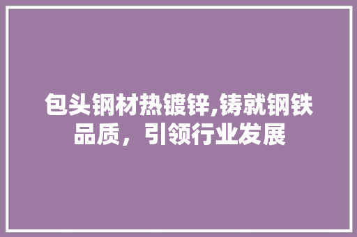 包头钢材热镀锌,铸就钢铁品质，引领行业发展