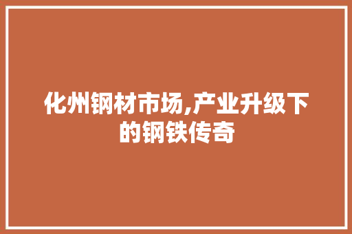 化州钢材市场,产业升级下的钢铁传奇