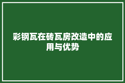 彩钢瓦在砖瓦房改造中的应用与优势