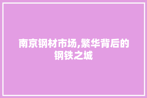 南京钢材市场,繁华背后的钢铁之城