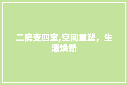 二房变四室,空间重塑，生活焕新