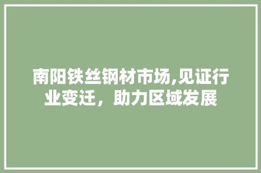 南阳铁丝钢材市场,见证行业变迁，助力区域发展