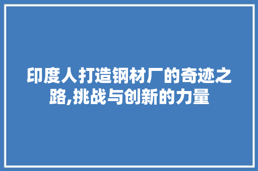 印度人打造钢材厂的奇迹之路,挑战与创新的力量
