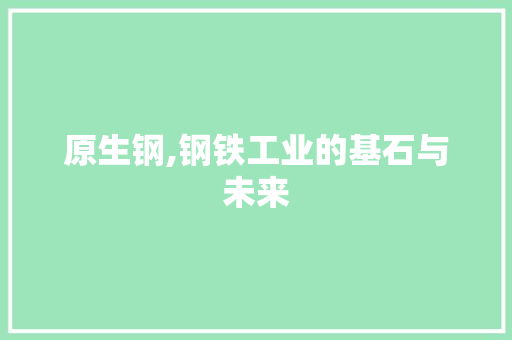 原生钢,钢铁工业的基石与未来