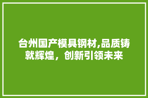 台州国产模具钢材,品质铸就辉煌，创新引领未来