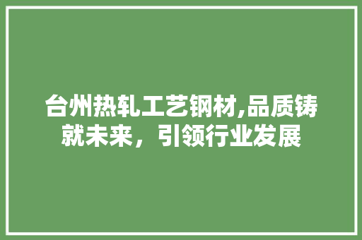 台州热轧工艺钢材,品质铸就未来，引领行业发展