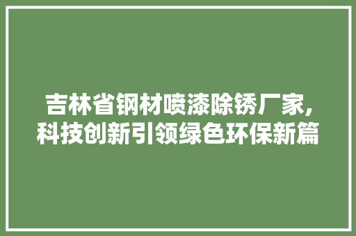 吉林省钢材喷漆除锈厂家,科技创新引领绿色环保新篇章