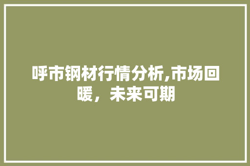 呼市钢材行情分析,市场回暖，未来可期
