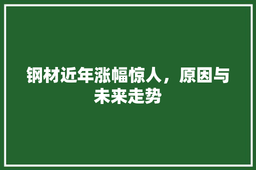 钢材近年涨幅惊人，原因与未来走势