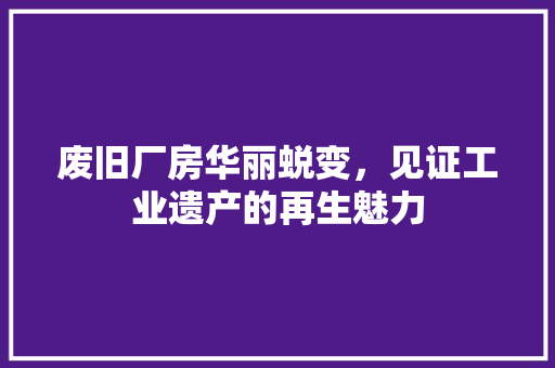 废旧厂房华丽蜕变，见证工业遗产的再生魅力