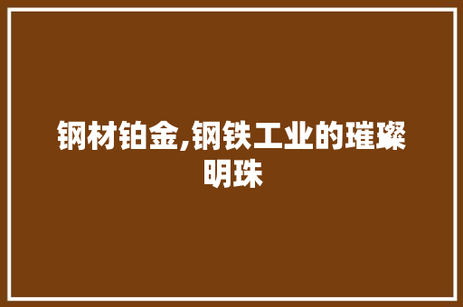 钢材铂金,钢铁工业的璀璨明珠