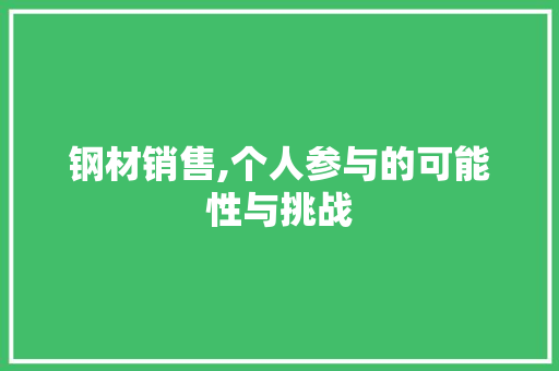 钢材销售,个人参与的可能性与挑战