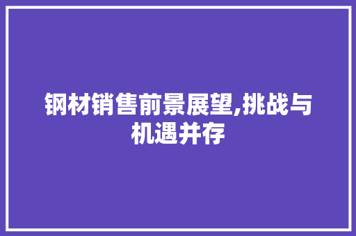 钢材销售前景展望,挑战与机遇并存