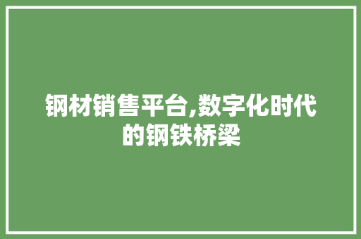 钢材销售平台,数字化时代的钢铁桥梁