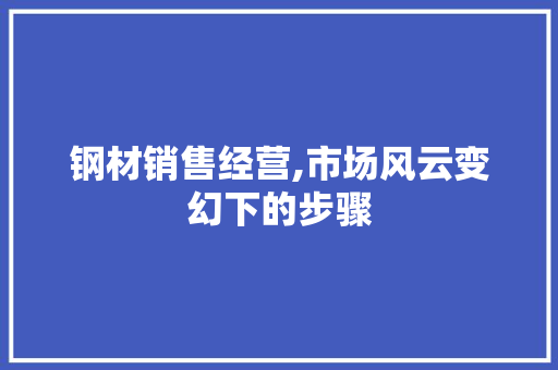 钢材销售经营,市场风云变幻下的步骤