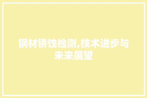 钢材锈蚀检测,技术进步与未来展望