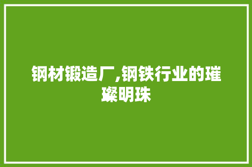 钢材锻造厂,钢铁行业的璀璨明珠