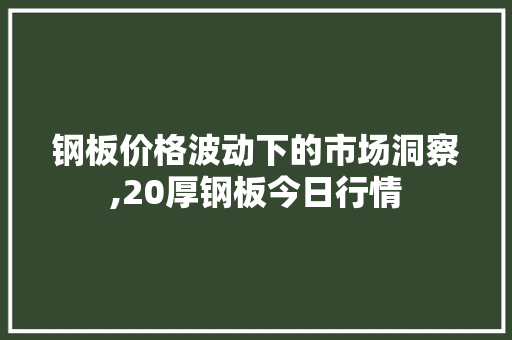 钢板价格波动下的市场洞察,20厚钢板今日行情 庭院装修