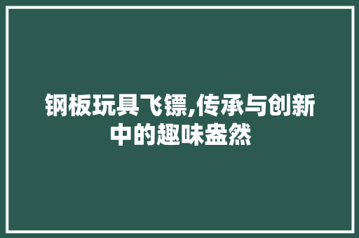 钢板玩具飞镖,传承与创新中的趣味盎然 景观设计