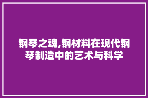钢琴之魂,钢材料在现代钢琴制造中的艺术与科学