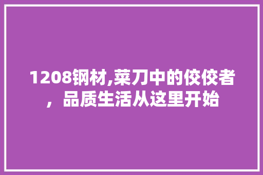 1208钢材,菜刀中的佼佼者，品质生活从这里开始