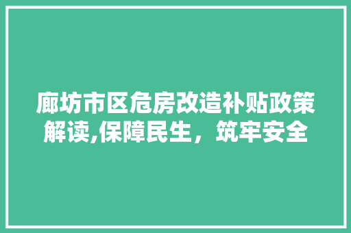 廊坊市区危房改造补贴政策解读,保障民生，筑牢安全防线