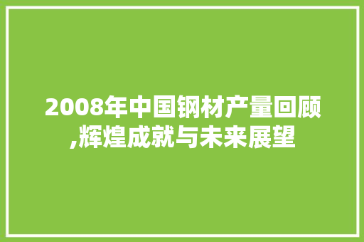 2008年中国钢材产量回顾,辉煌成就与未来展望