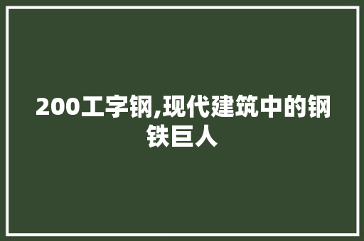 200工字钢,现代建筑中的钢铁巨人