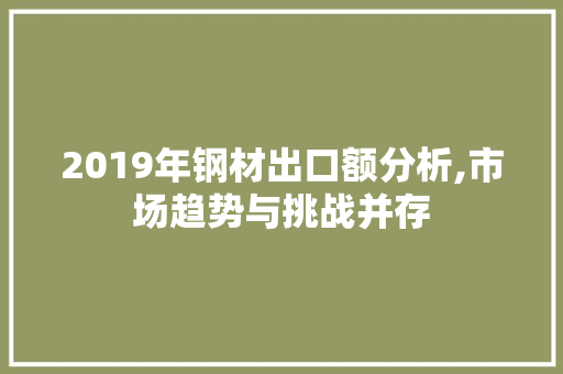 2019年钢材出口额分析,市场趋势与挑战并存