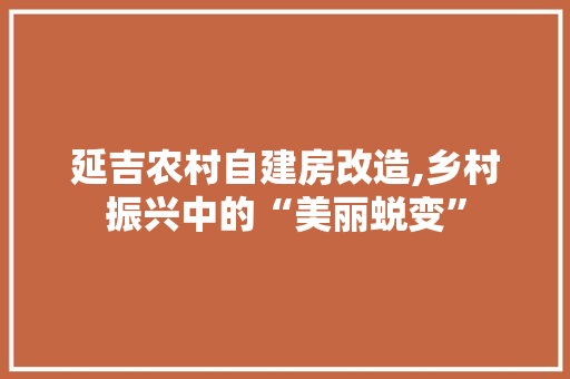 延吉农村自建房改造,乡村振兴中的“美丽蜕变”